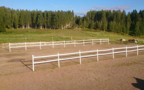 Vinterhagarna sträcker sig upp i björkskogen